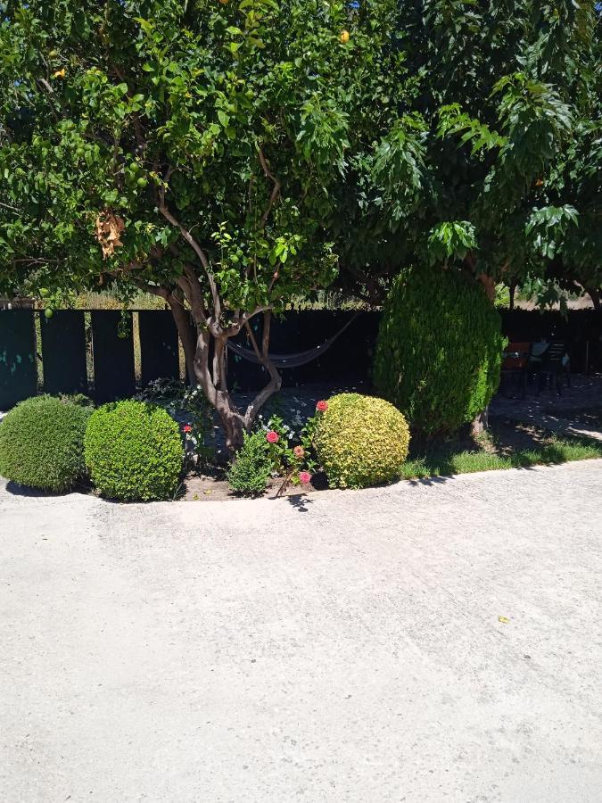 Katerina House Apartment Finikounta Luaran gambar